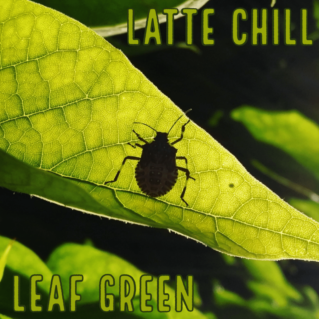 Leaf Green Latte Chill