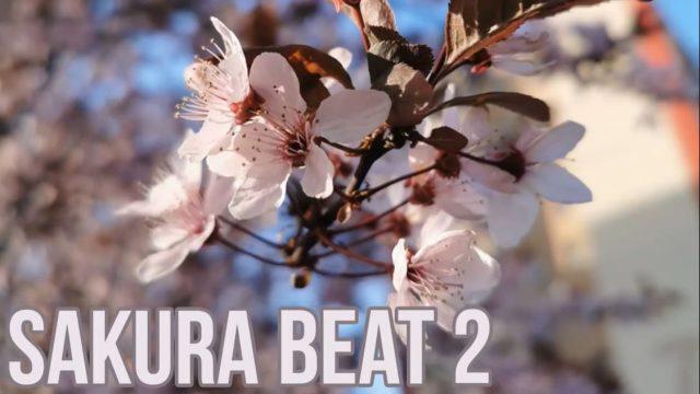 2020-04-13 - Sakura beat 2 MIX
