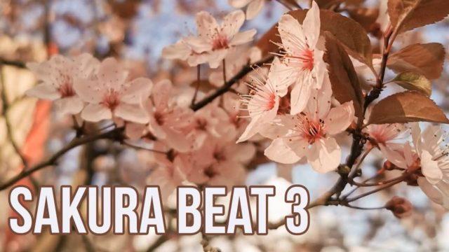 2020-04-16 - Sakura beat 3 MIX