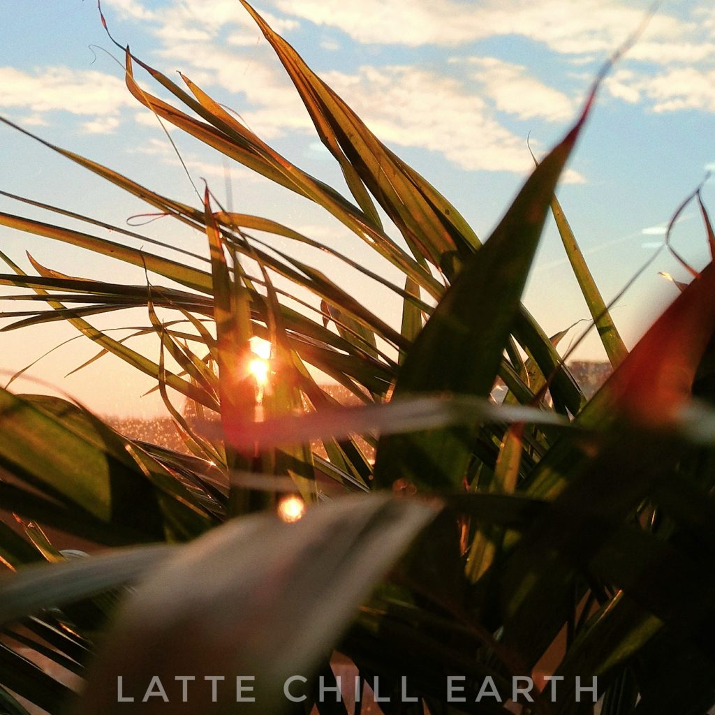 Earth nature chill beats by Latte Chill