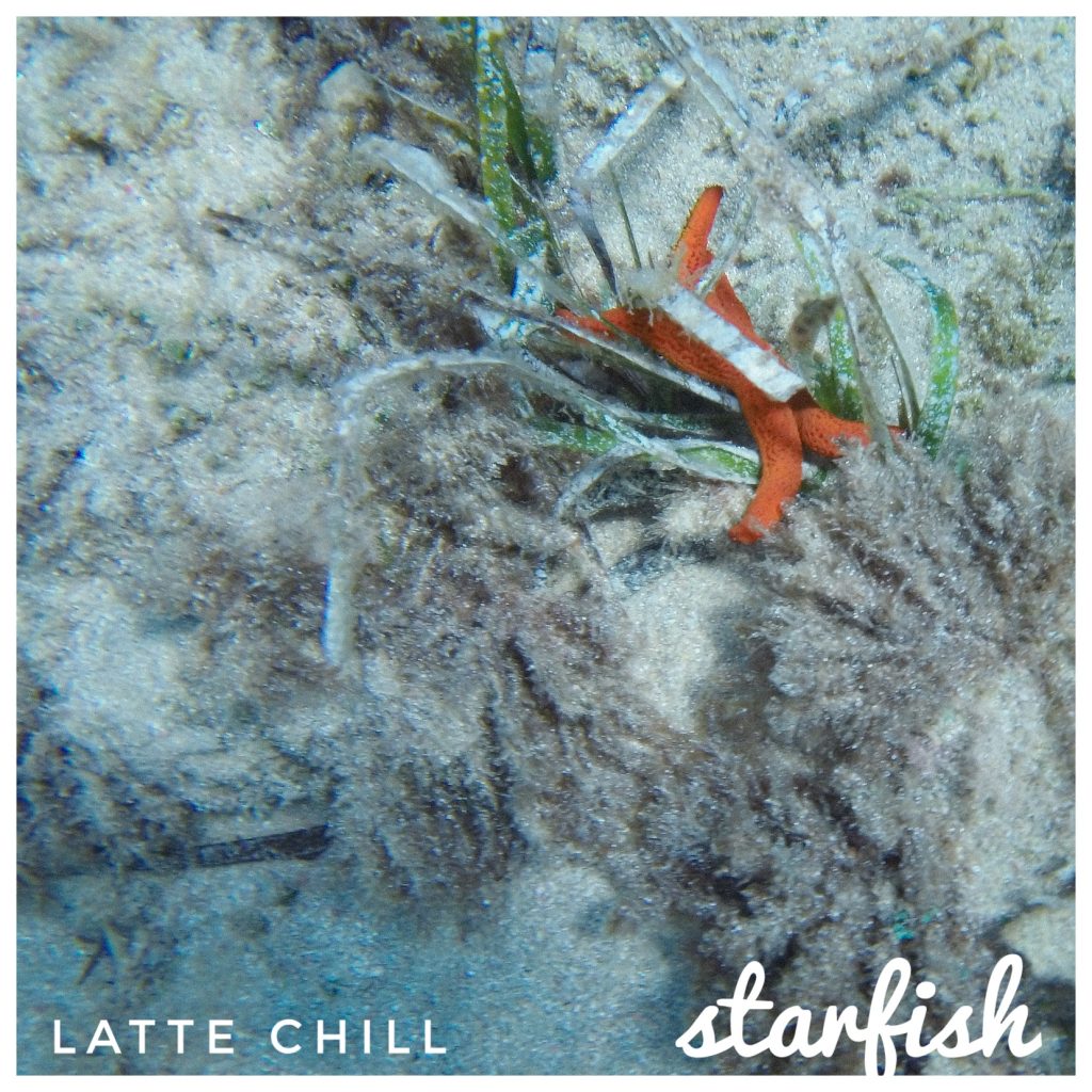 Starfish chill beats