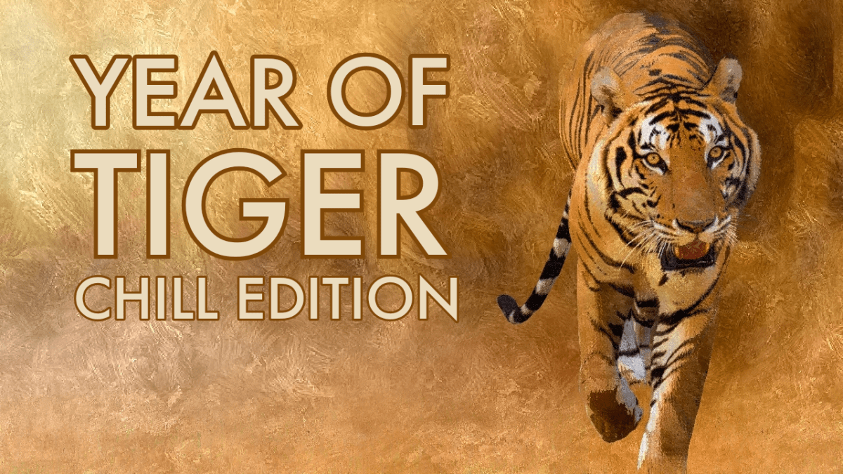 Year of Tiger – Chill Edition