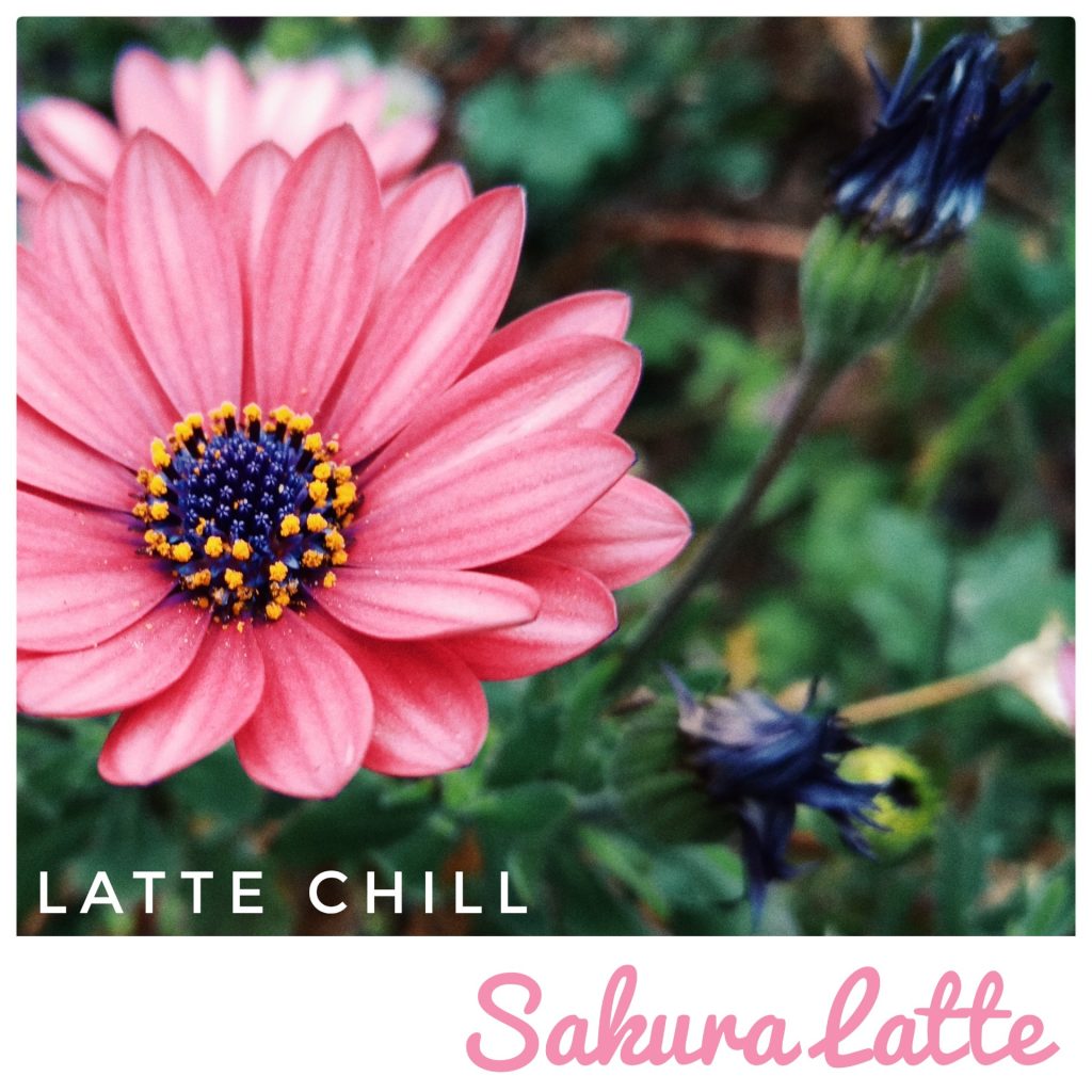 Sakura Latte by Latte Chill