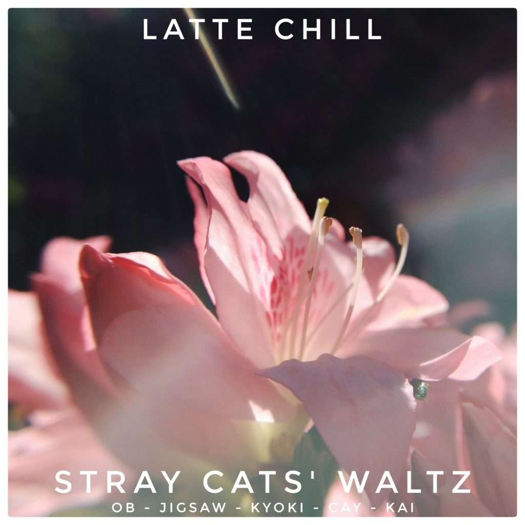 stray cats' waltz from cherryland