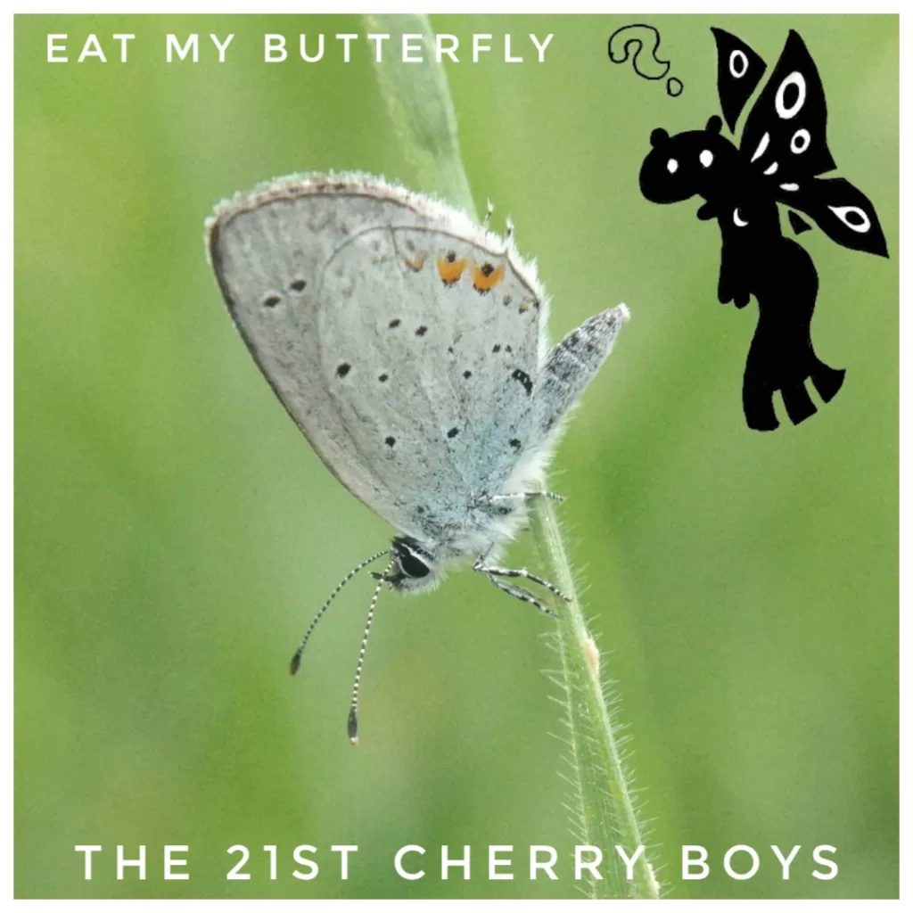 Eat my Butterfly chilling ermines