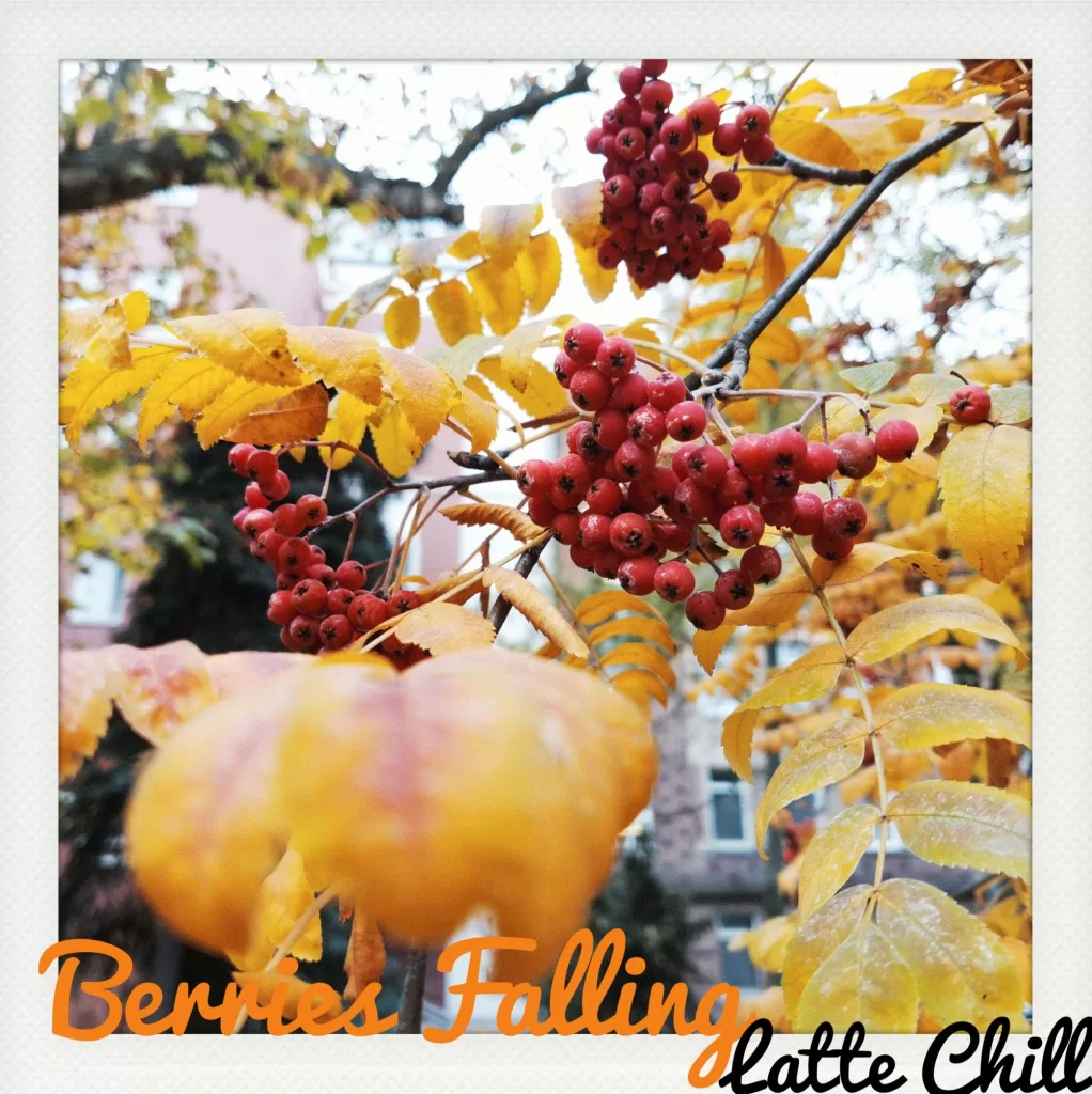 Berries Falling - Latte Chill