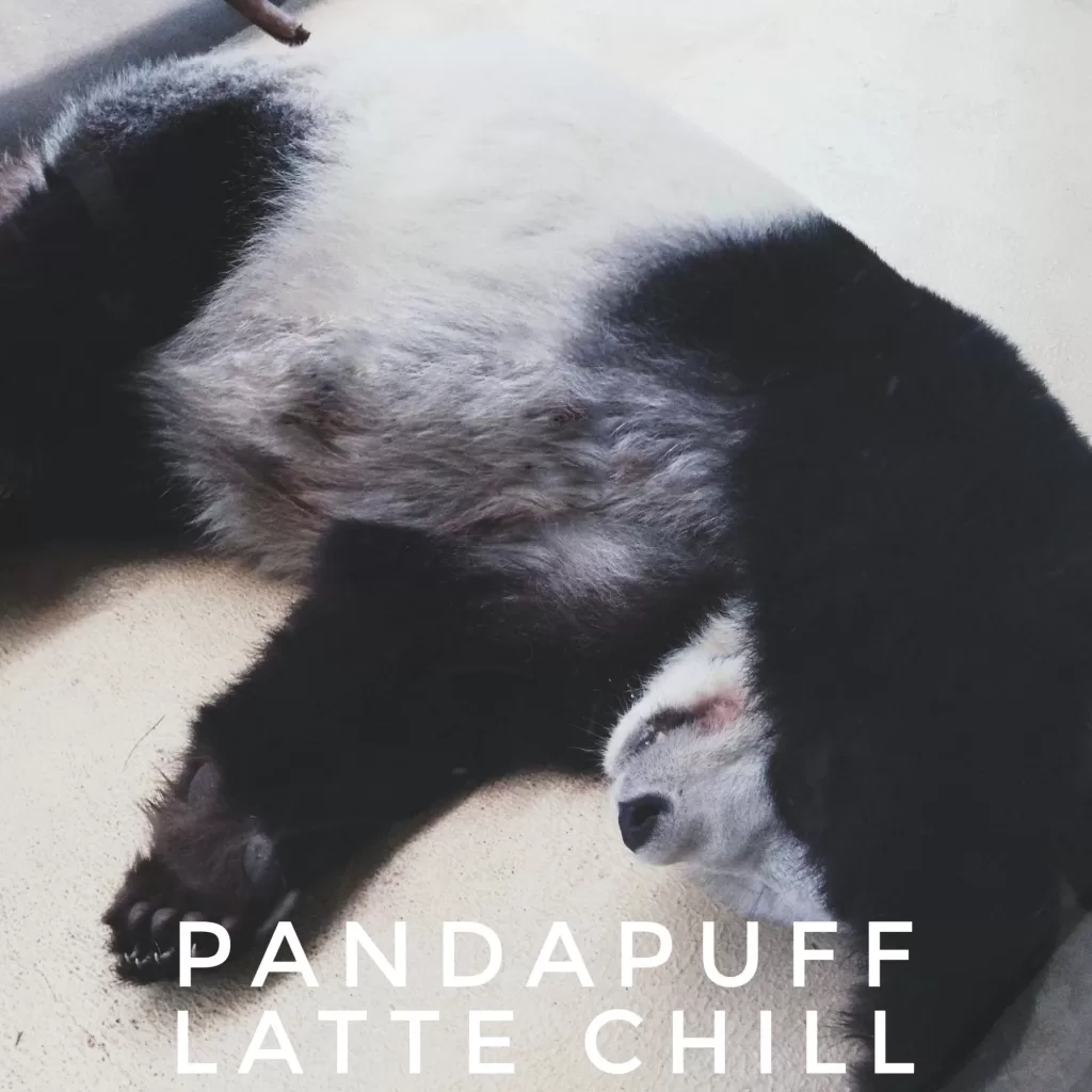 pandapuff live